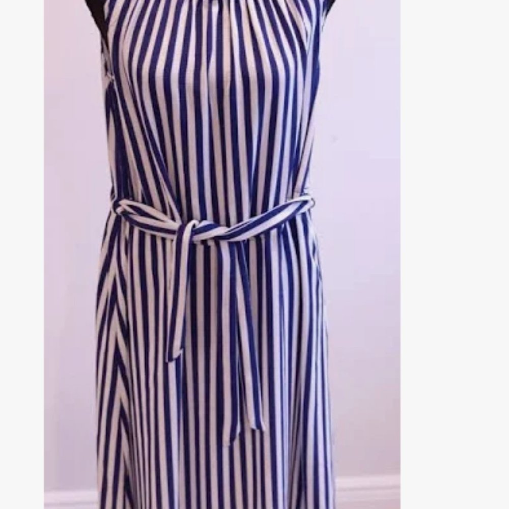 Juicy Couture Navy and White Dress